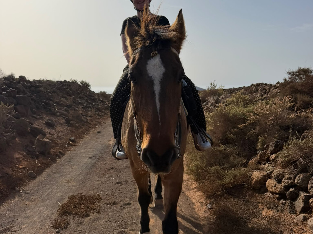 Horses Lanzarote-Teseguite必去景点