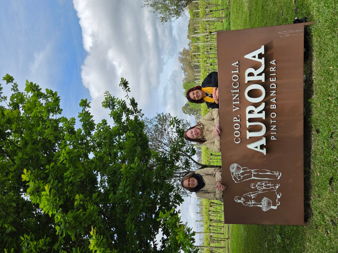 Aurora Winery-本图贡萨尔维斯必去景点