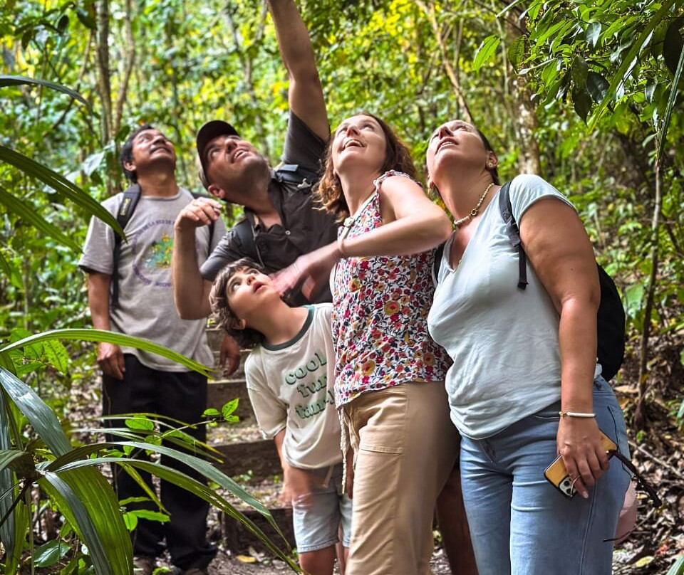 Visit Calakmul-Xpujil Town必去景点