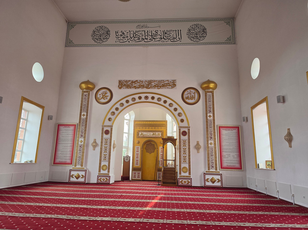 Red Great Mosque-托木斯克必去景点
