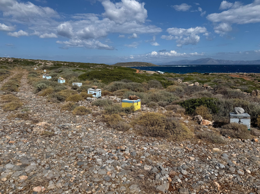 Kythera Trails-Livadi必去景点