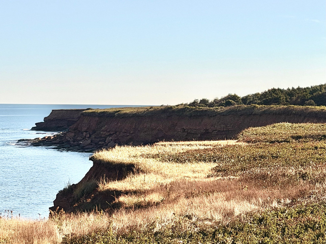 Cavendish Beach-卡文迪西必去景点