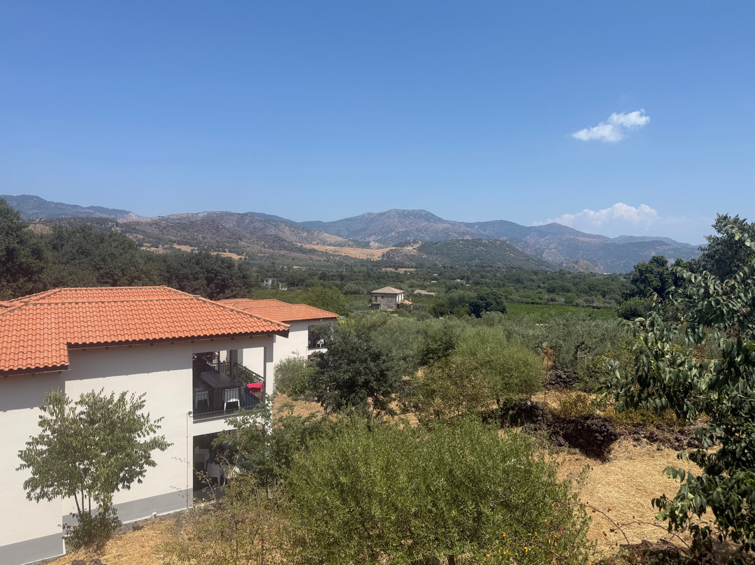 Tenuta Madonnina