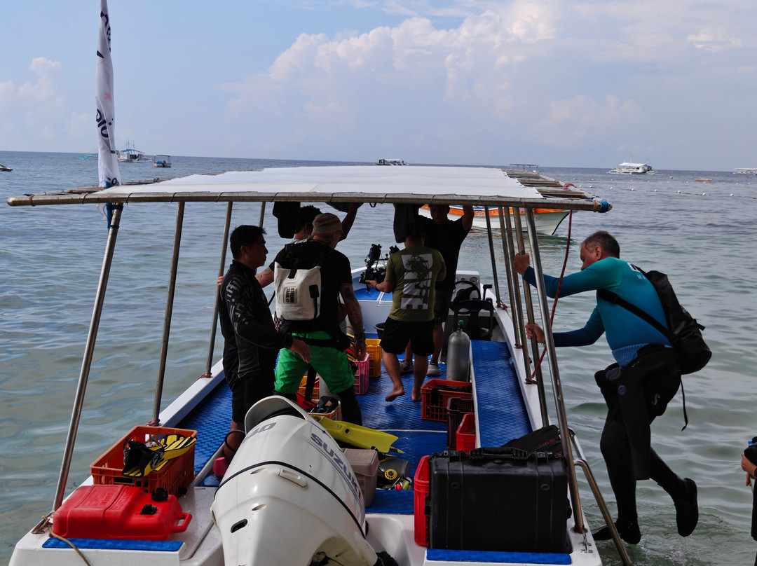 Tropical Divers Dive Center-达瑙市必去景点