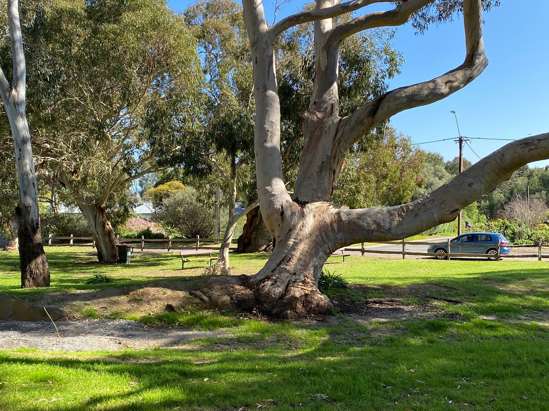 Willunga Courthouse Museum-Willunga必去景点