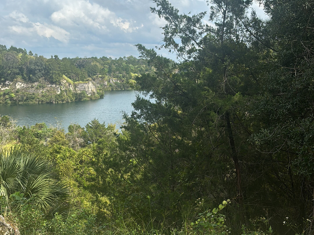 Canyons Zip Line & Canopy Tours-奥卡拉必去景点