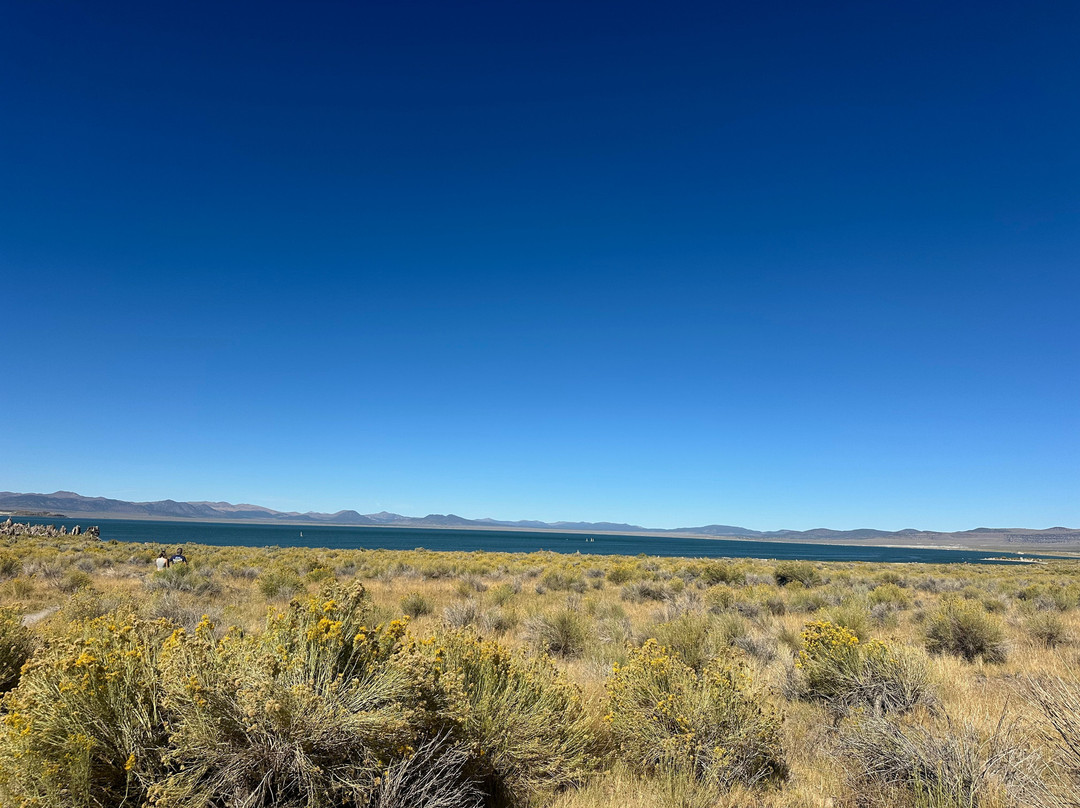 Mono Lake Tufa State Natural Reserve-利韦宁必去景点