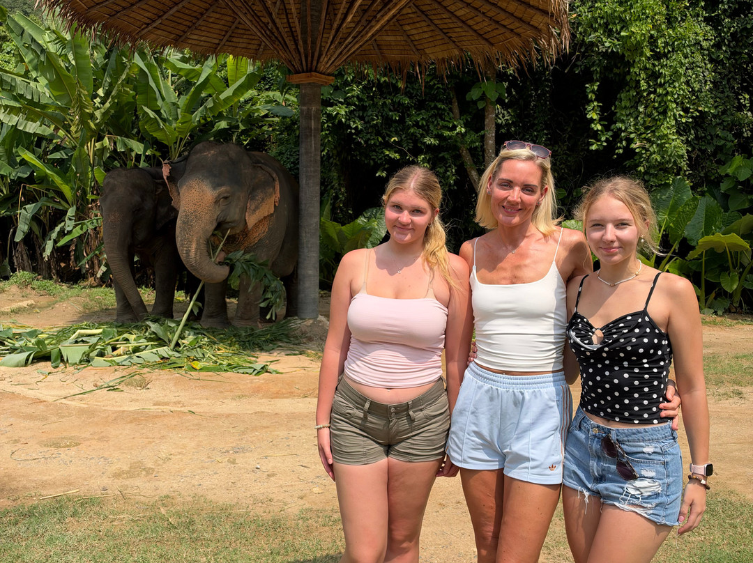 Hidden Forest Elephant Reserve-查龙必去景点