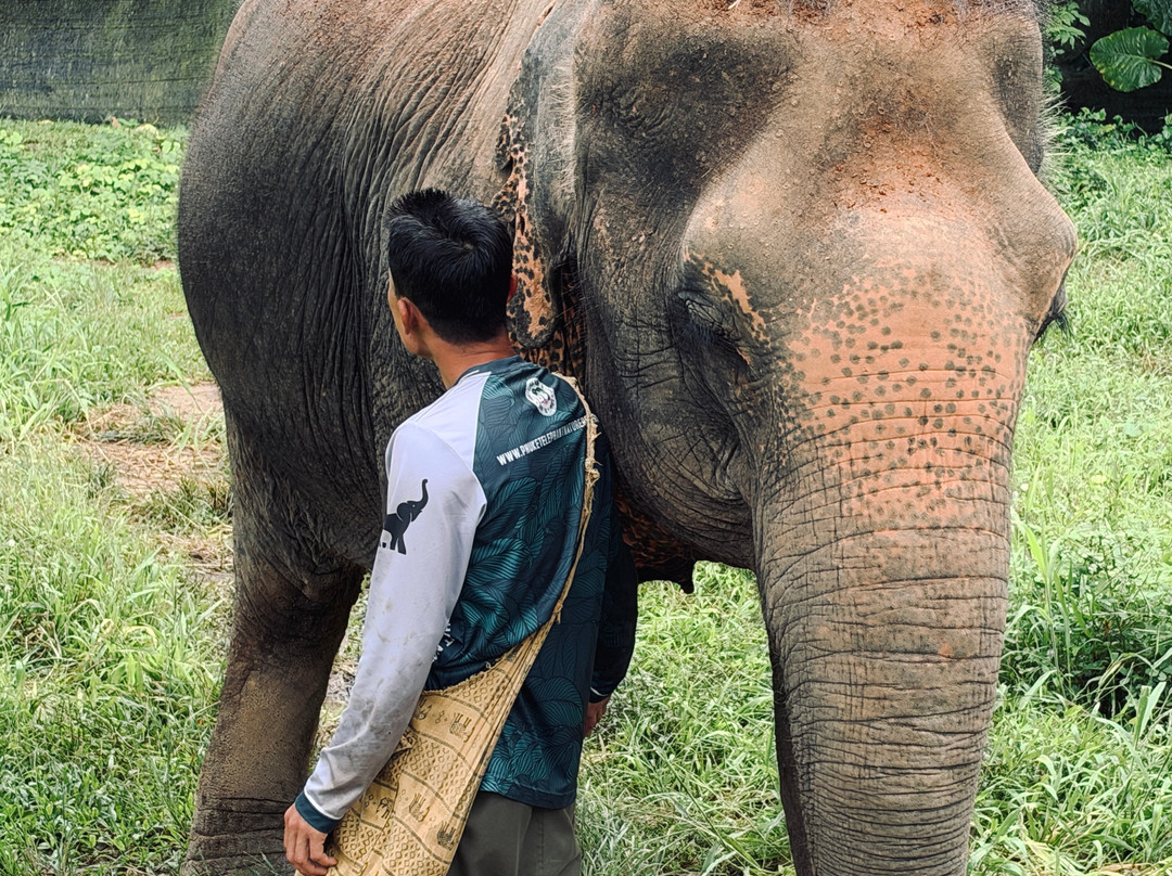 Phuket Elephant Nature Reserve-他朗必去景点
