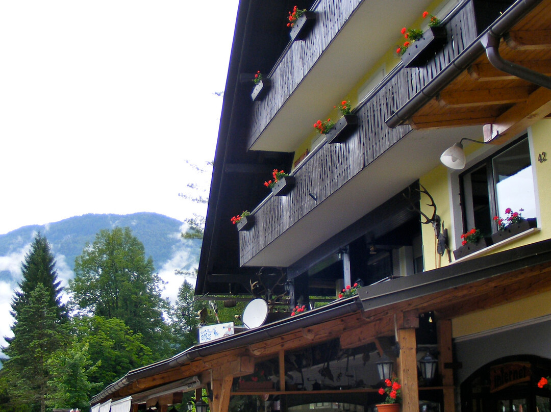 Ribcev Laz酒店住宿-Pension Rozic