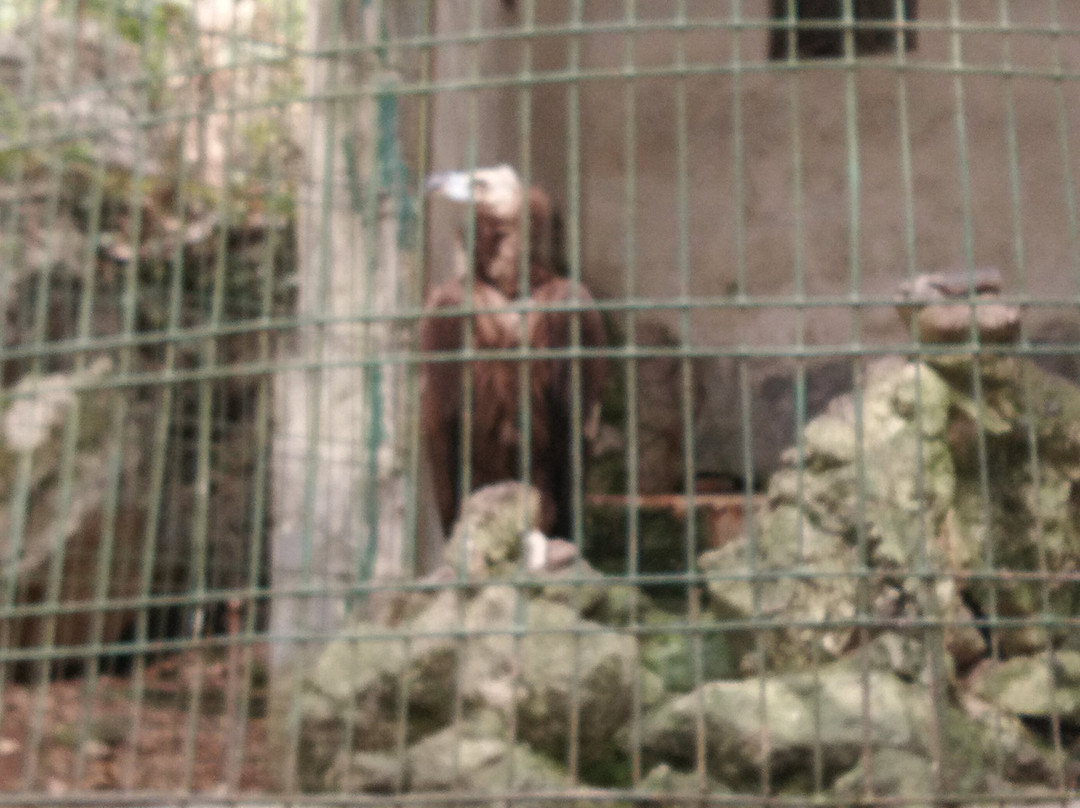 三都水族自治县旅游攻略图片