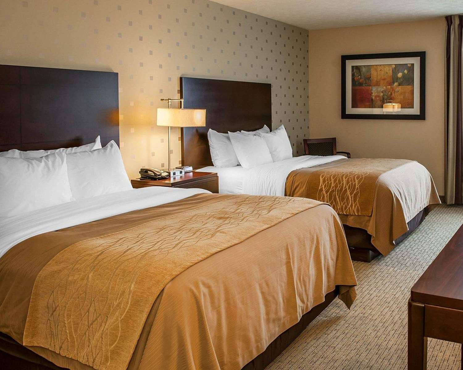 Comfort Inn Bloomington-官方