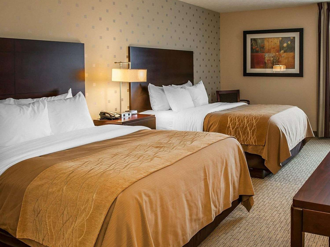 Comfort Inn Bloomington主图