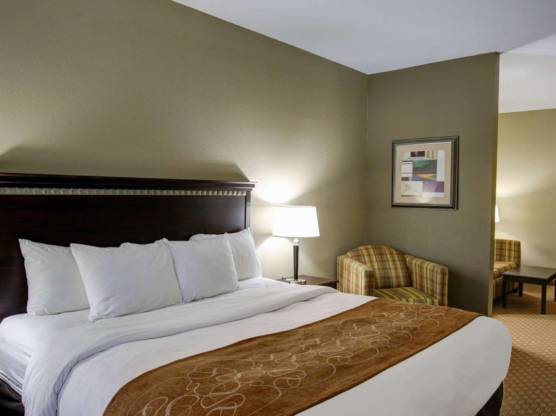 Comfort Suites主图