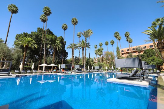 肯兹玫瑰园酒店-官方