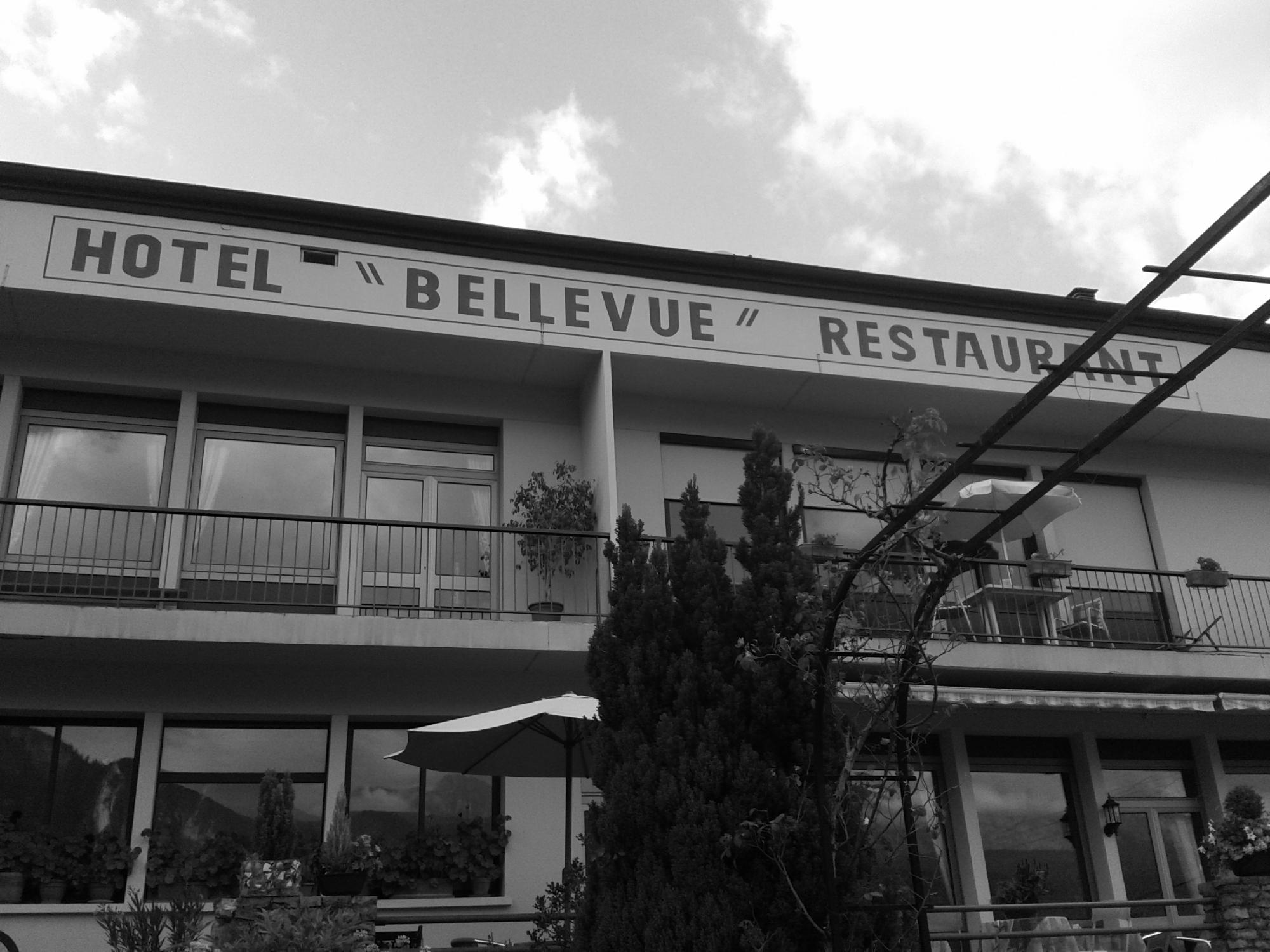 Hotel Bellevue-浴室
