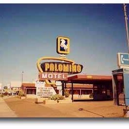 Palomino Motel-官方