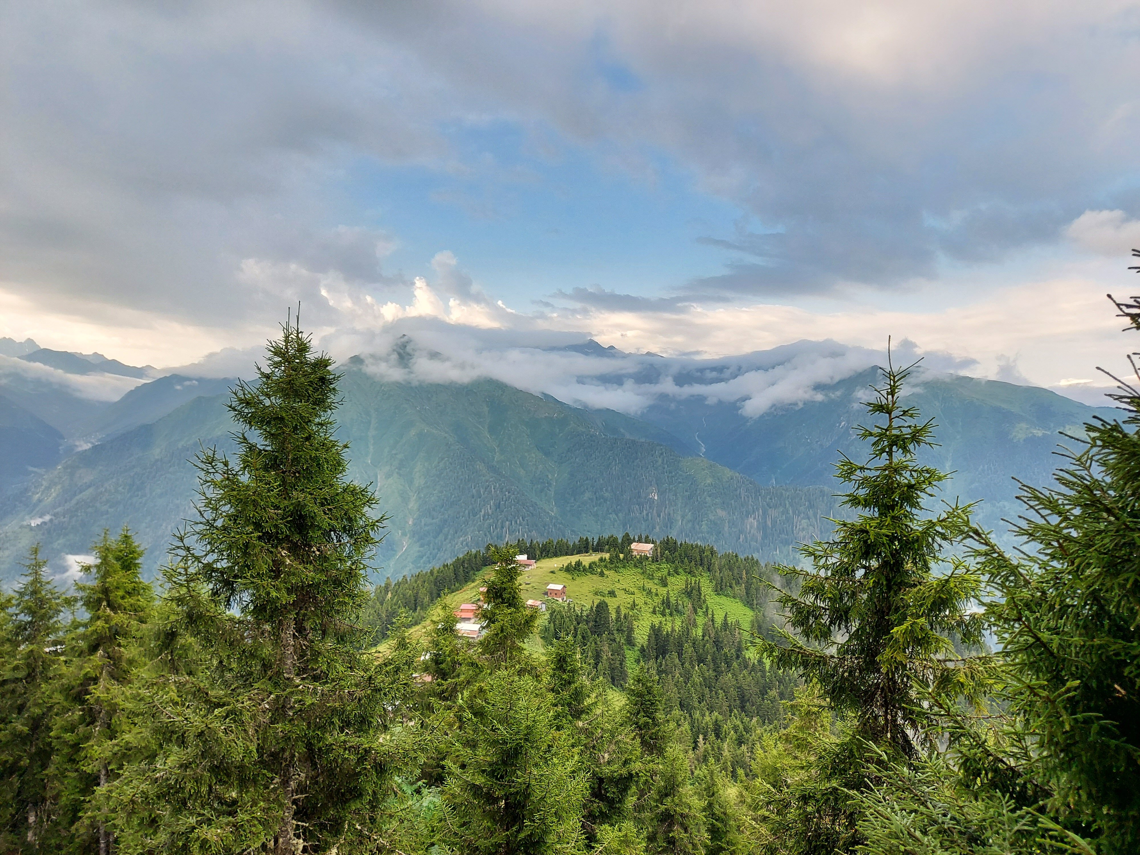 Pokut Orion-官方