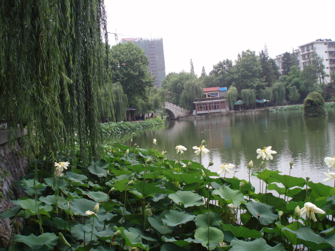 汉中莲花池公园-汉中市必去景点