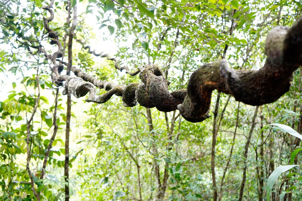 Mount K Resort主图