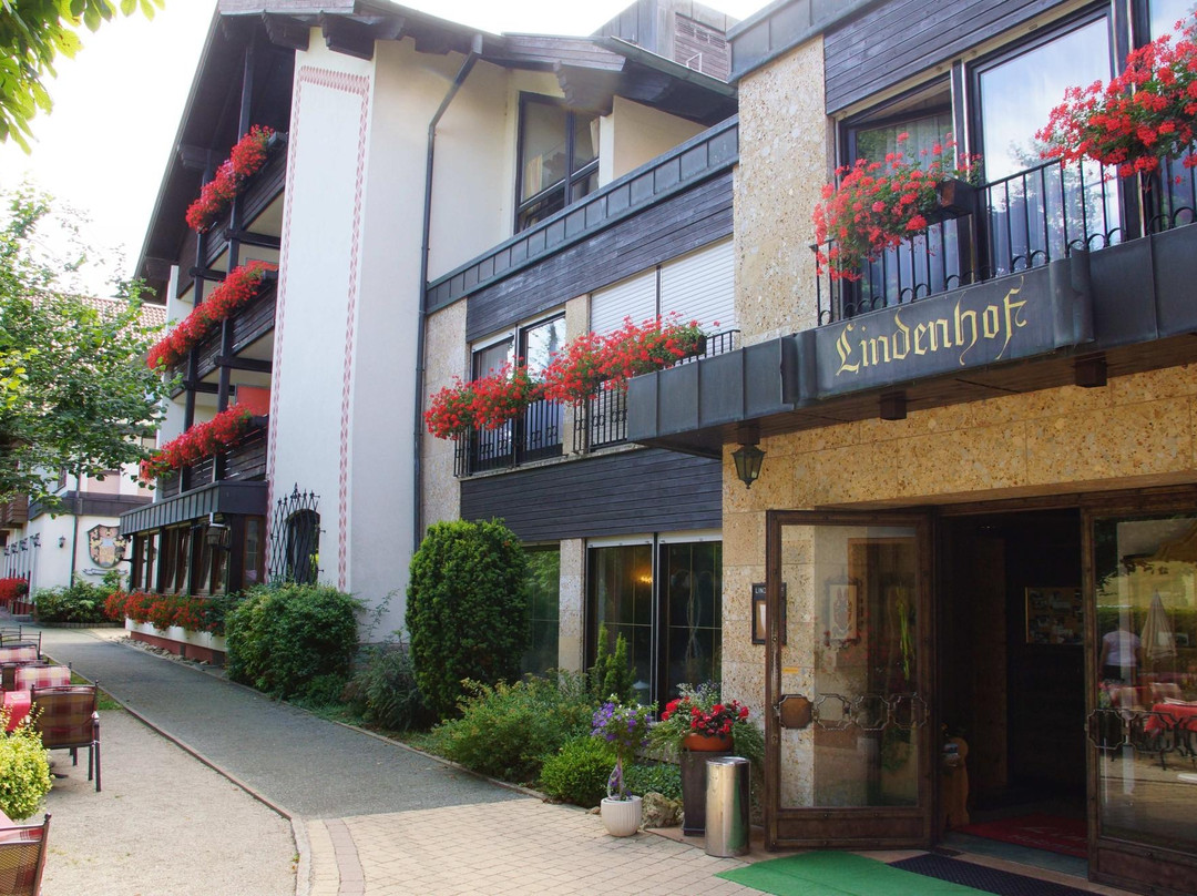 Lichtenegg酒店住宿-Hotel Lindenhof