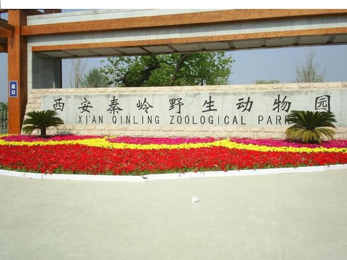 秦岭野生动物园景点图片