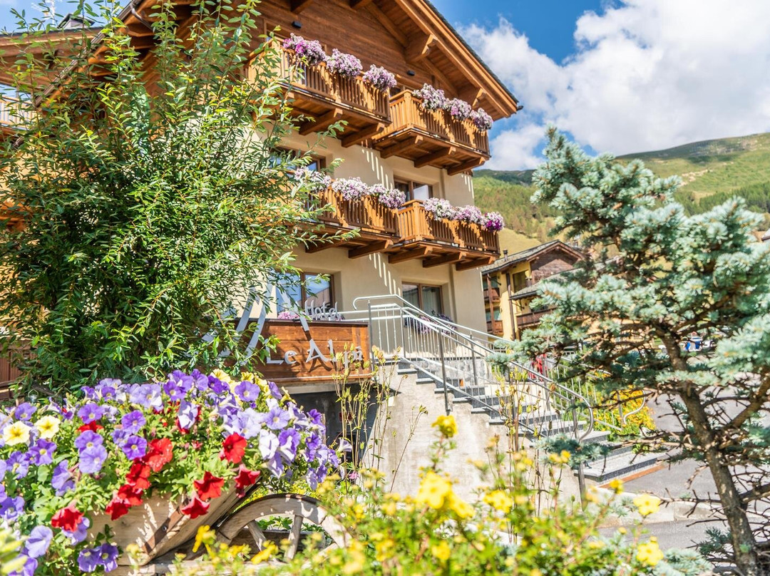 利维尼奥酒店住宿-Hotel Le Alpi