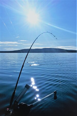 SeaFox Himanka-Himanka必去景点