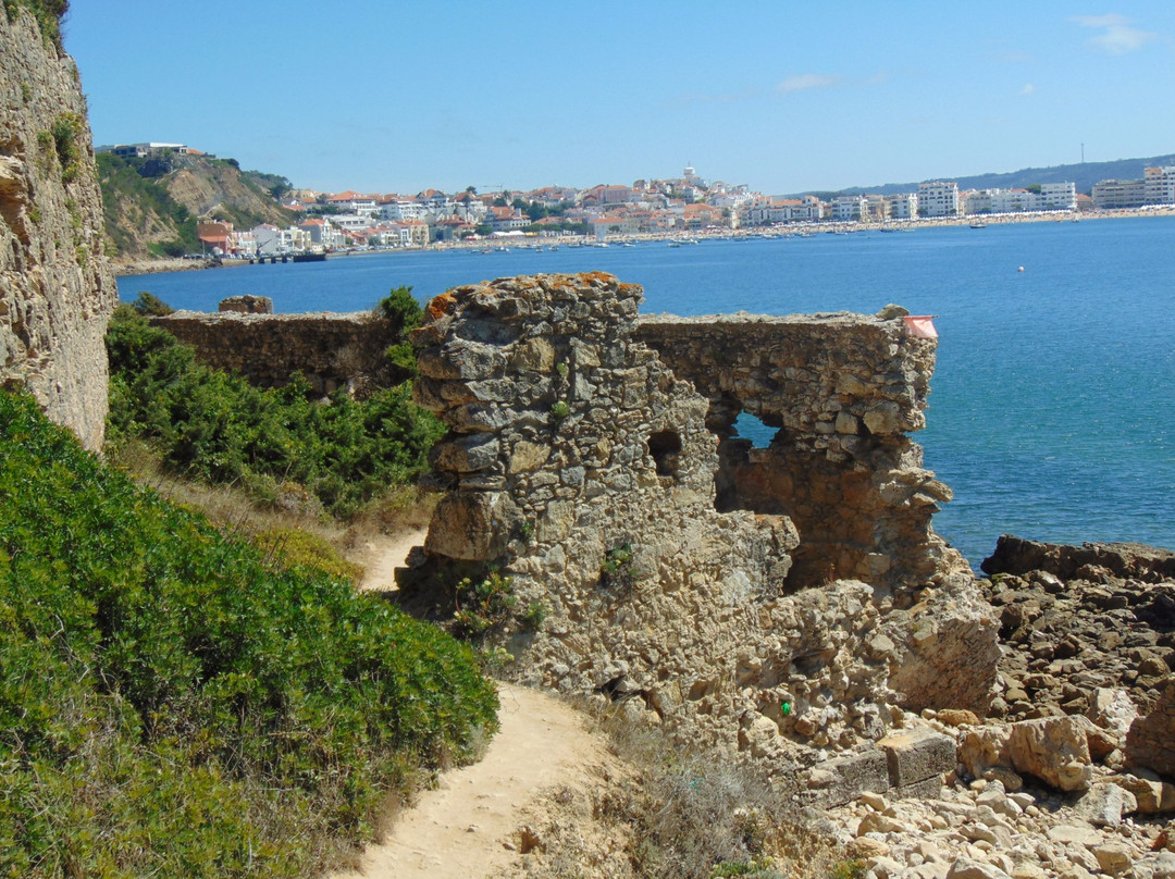 Ruinas do Porto景点图片