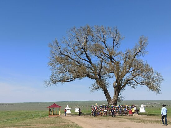 Odinokiy Topol-Khar-Buluk必去景点