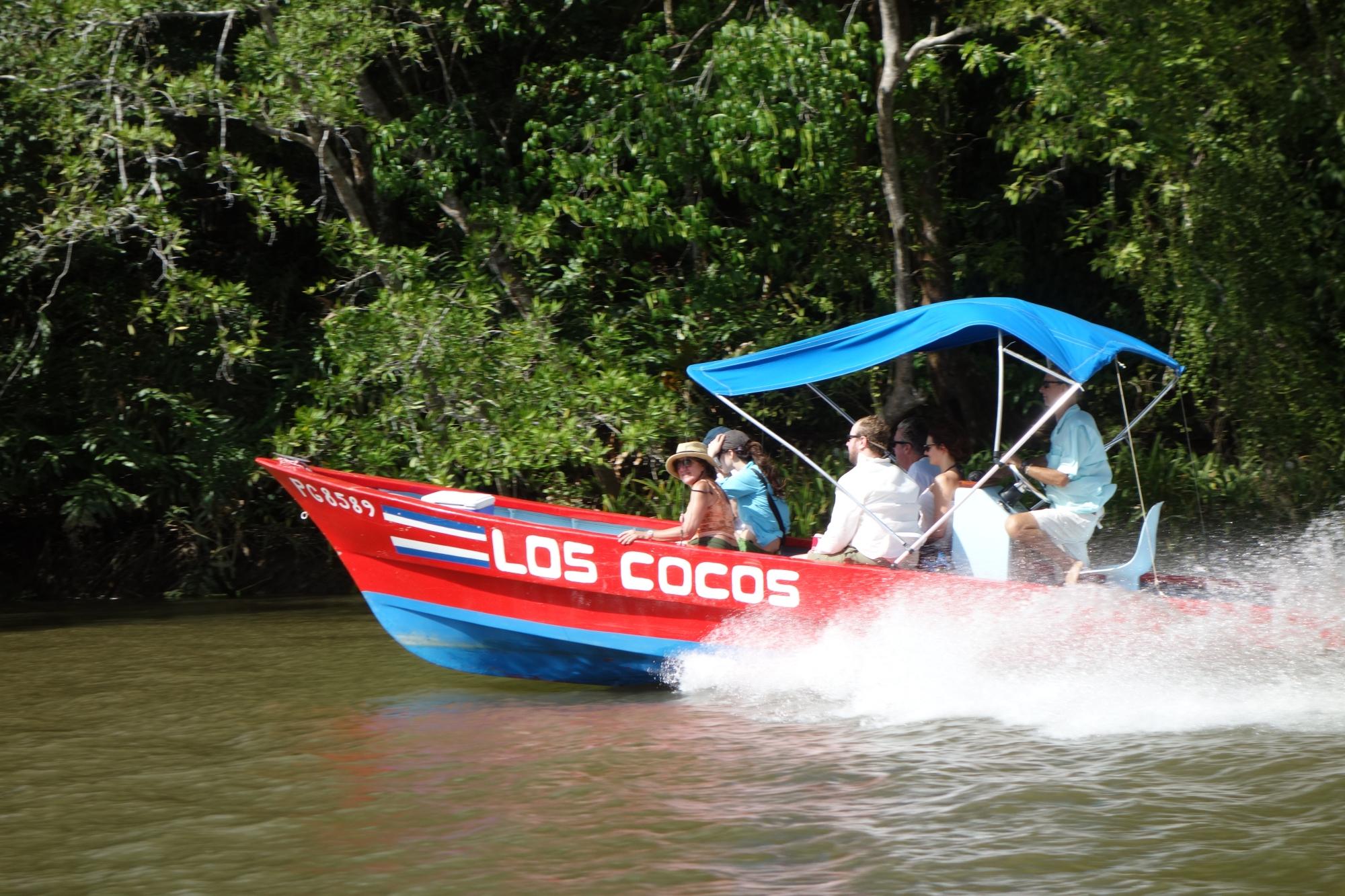 Cabinas Los Cocos-客卧