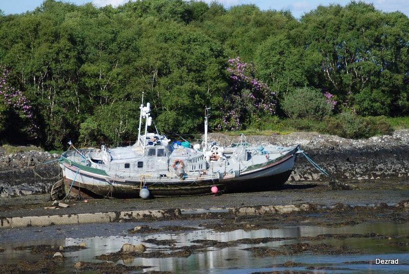 Craignure VisitScotland iCentre景点图片