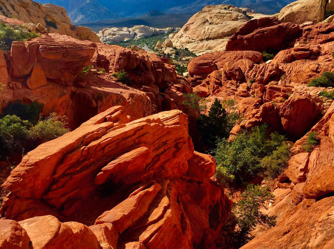 Calico Tanks Trail-拉斯维加斯必去景点