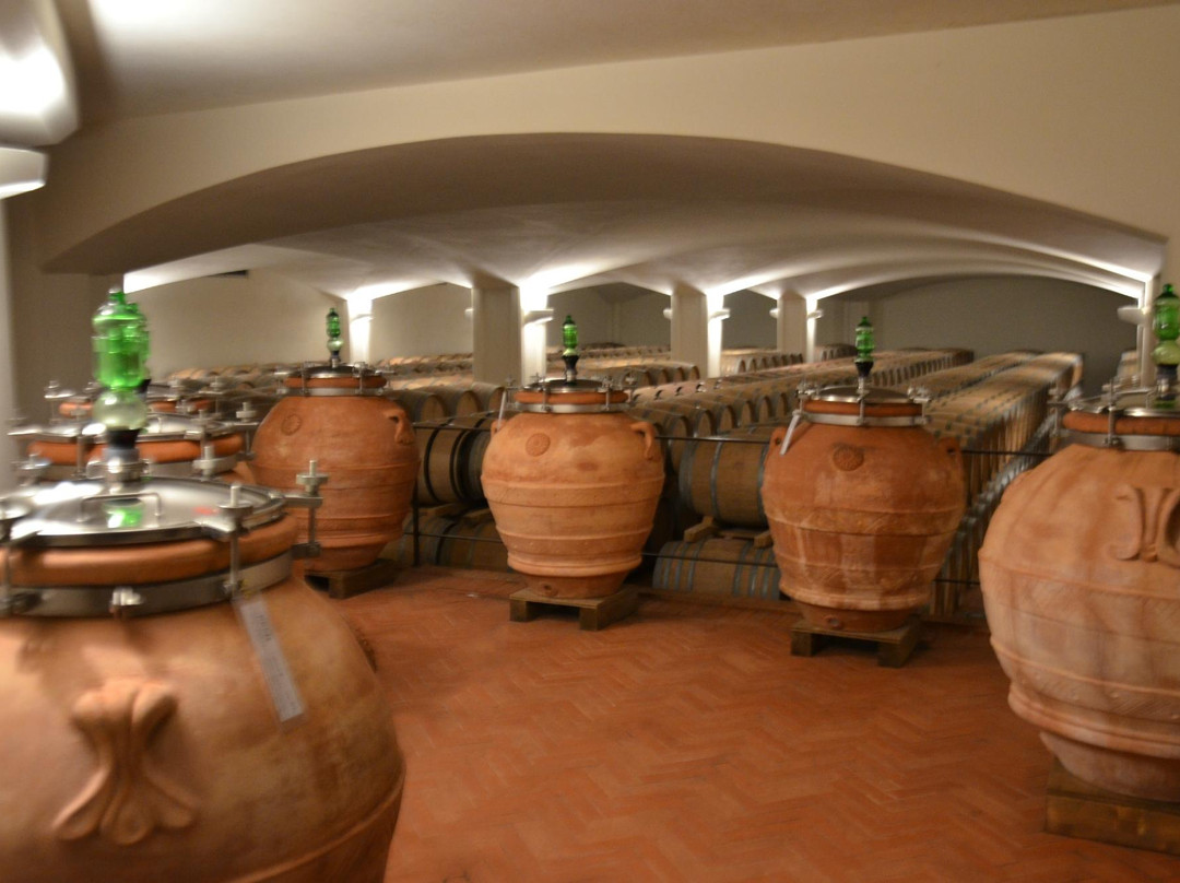 Fontodi Winery景点图片