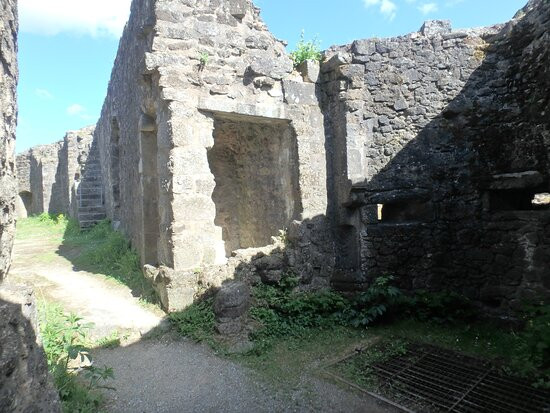 Chateau de Parthenay景点图片
