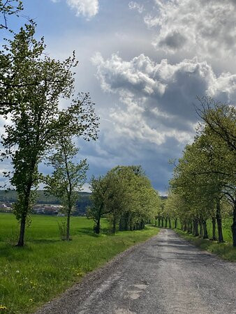 Camp du Ban-Saint-Jean-Boulay-Moselle必去景点