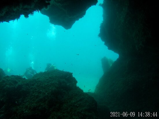 Plongée Passion La Ciotat-拉西奥塔必去景点