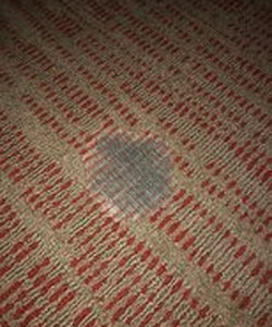 机场Residence Inn 酒店酒店图片