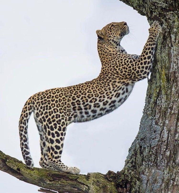 Lake Masek-Endulen必去景点