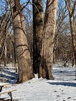 Overland Park Arboretum and Botanical Gardens-欧弗兰帕克必去景点
