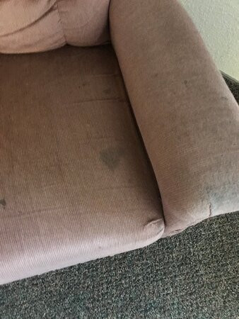 Super 8 by Wyndham Battle Mountain主图