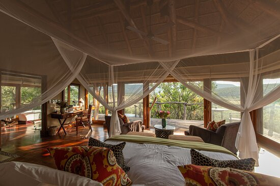 Pumba Private Game Reserve主图