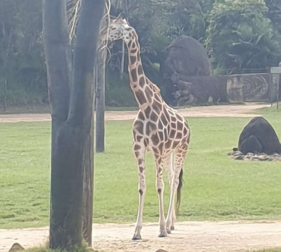 罗宾那购物中心-罗宾娜必去景点