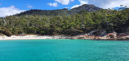 Wineglass Bay Cruises景点图片