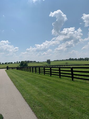 Sun Valley Farm-Versailles必去景点