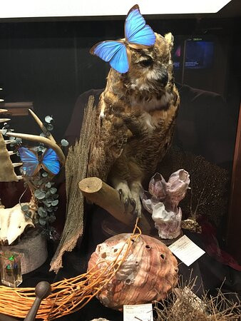 Science Museum of Western Virginia & Hopkins Planetarium-罗阿诺克必去景点