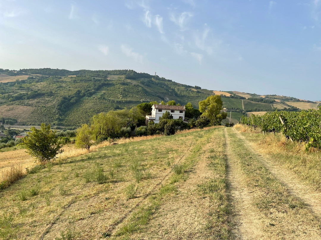 Casa Vacanze Cristina - Holiday House主图