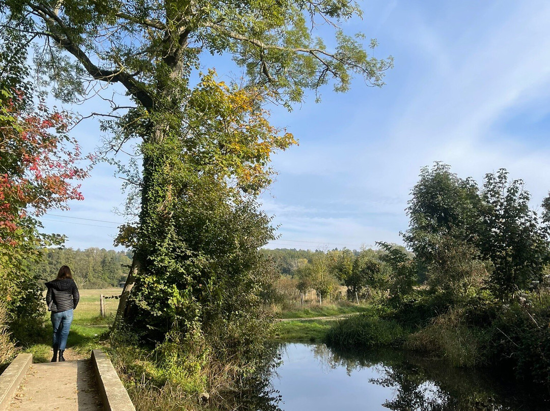 CAMPING DE L'ÉTANG DE MARSALIN