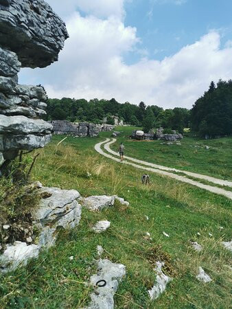 Valle delle sfingi景点图片