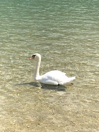Lac d'Aiguebelette景点图片